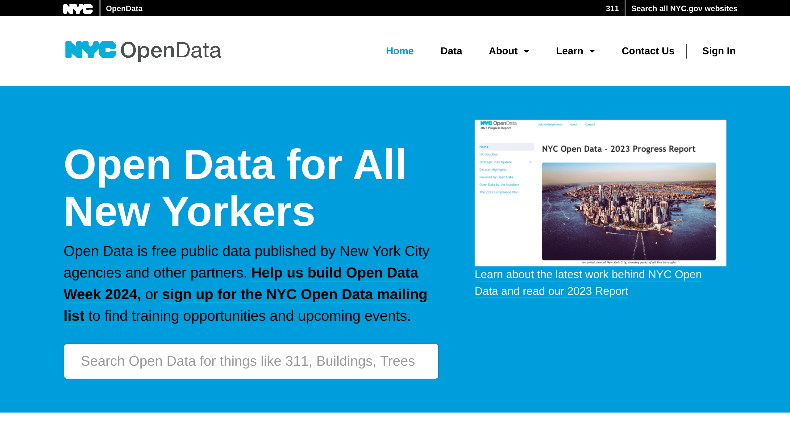 City, New York Open Data's website screenshot