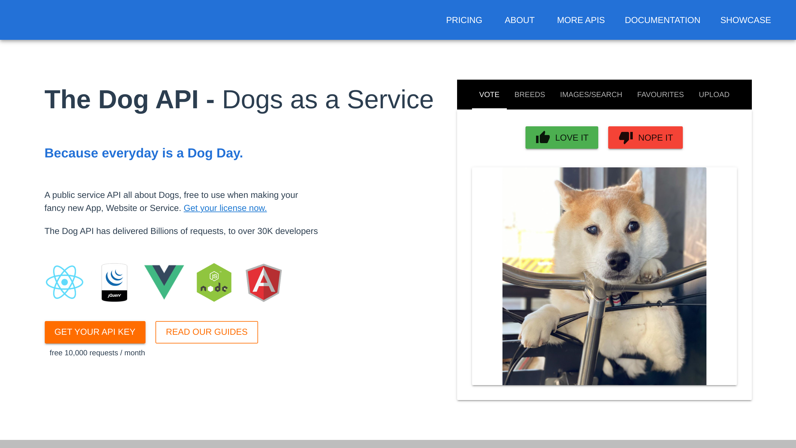 The Dog's website screenshot