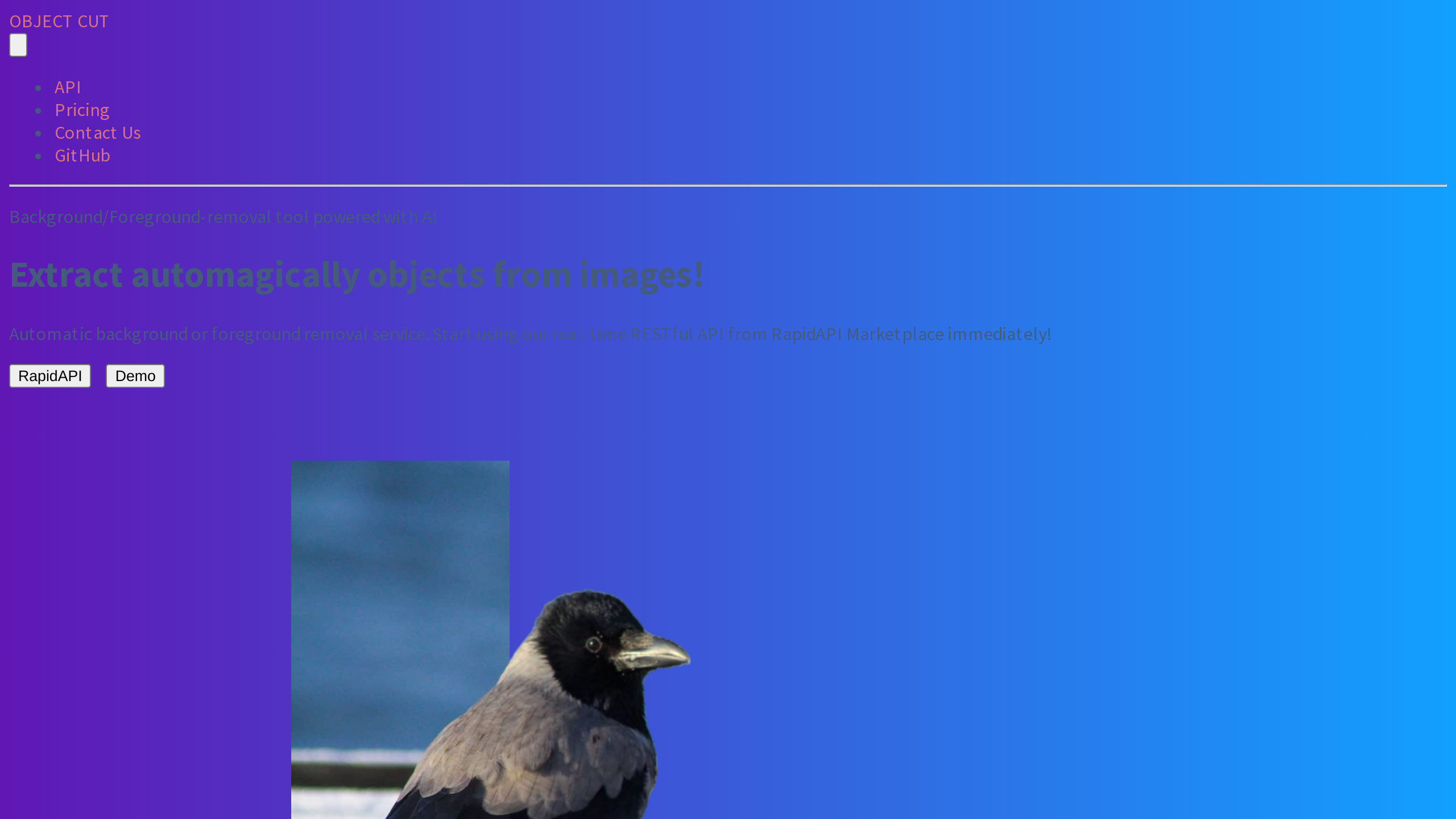 ObjectCut's website screenshot