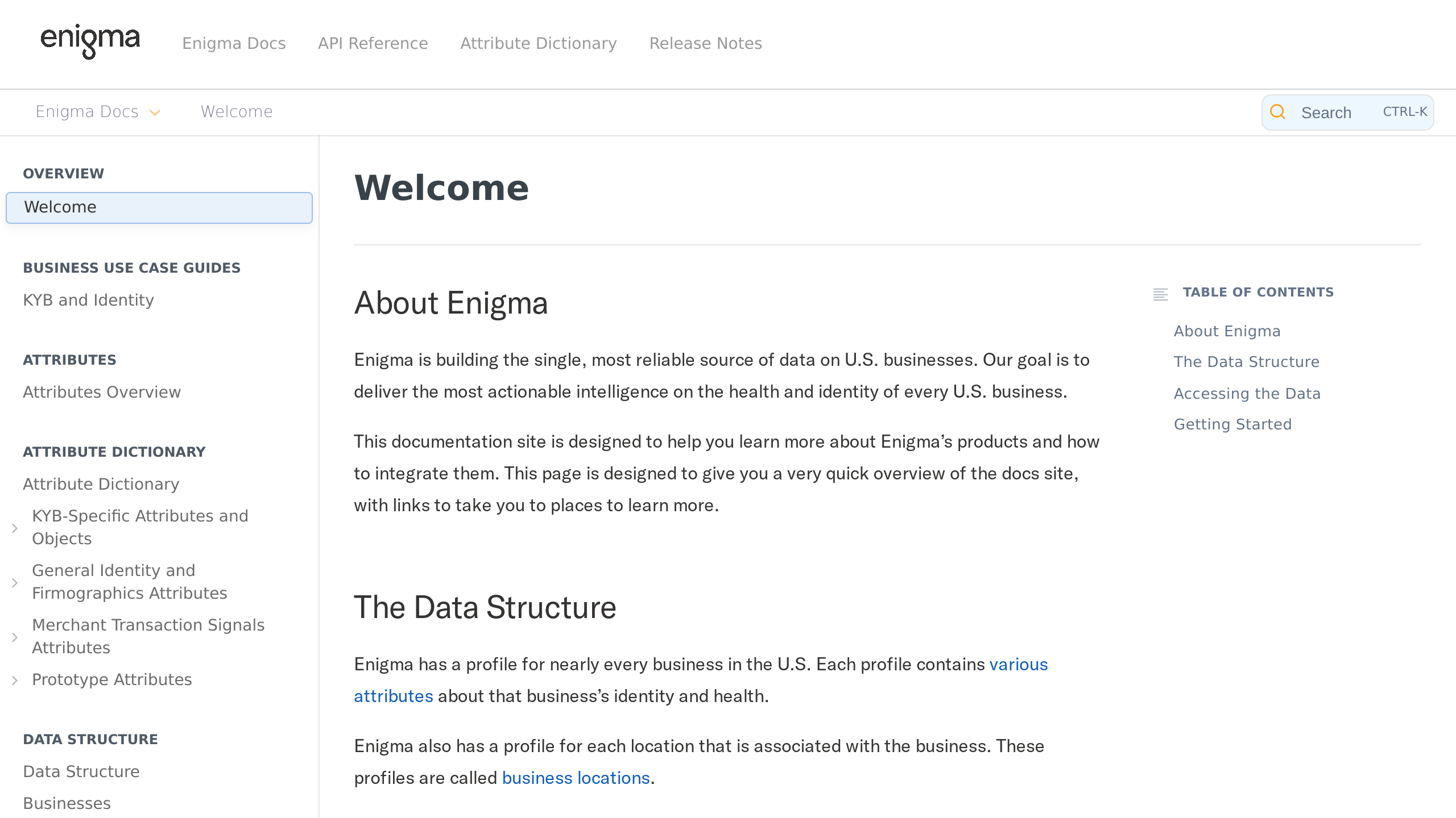 Enigma Public's website screenshot