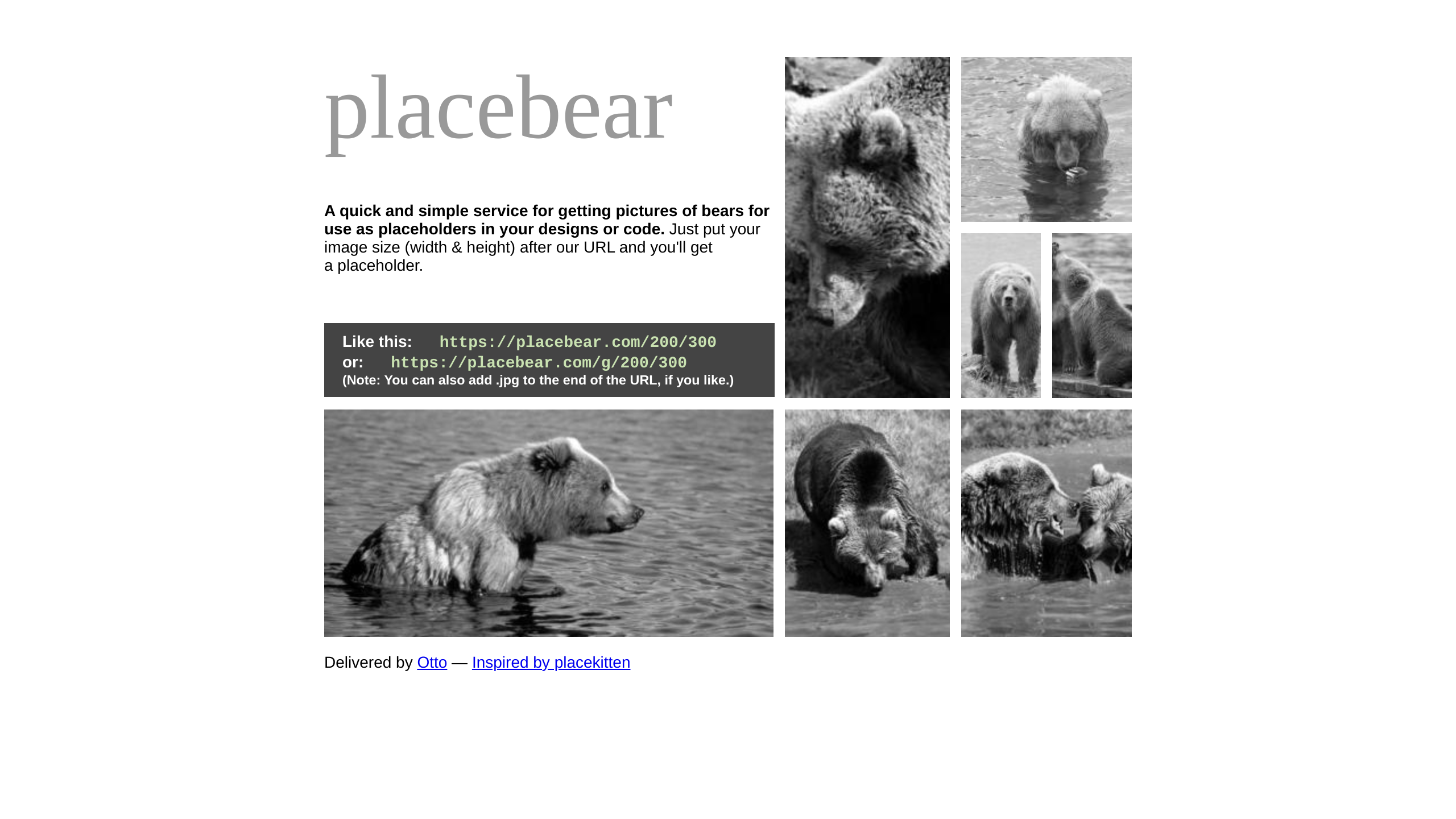 PlaceBear's website screenshot